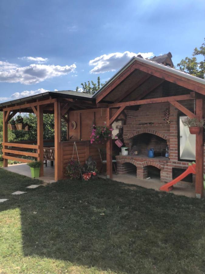 Kuca Za Odmor Davidovic Despotovac Exterior foto
