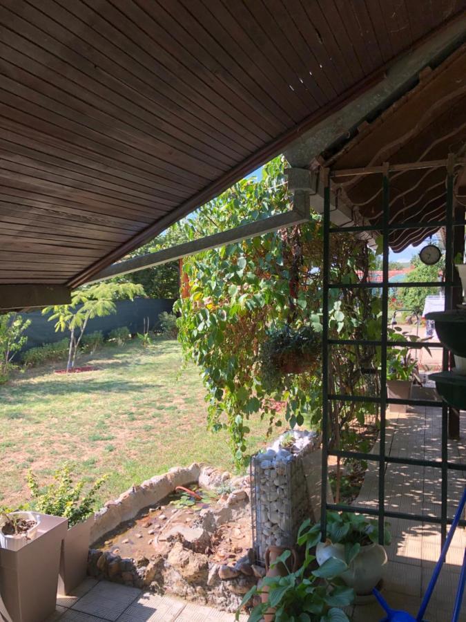 Kuca Za Odmor Davidovic Despotovac Exterior foto